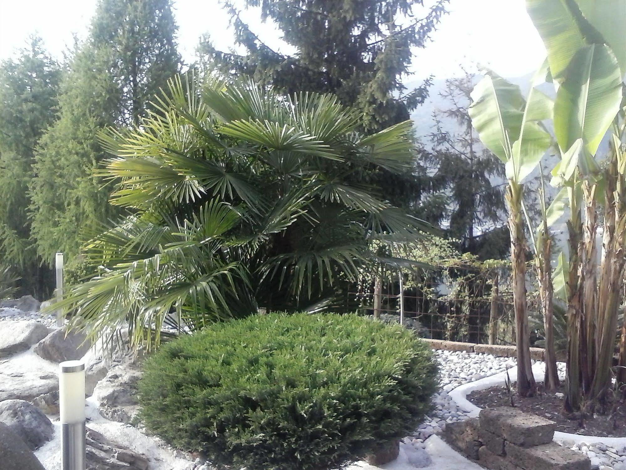 Hotel Empire Resort Iseo Exterior foto